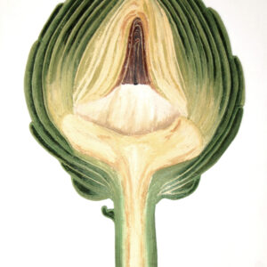 large textured artichoke string artwork kitchen wall art for modern organic interior