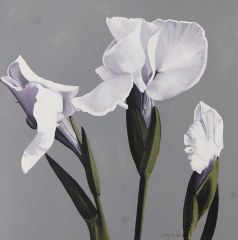 three iris flowers in white with subtle lilac color, very muted colorso n a gray background, elegant painting ideal for interior design projects