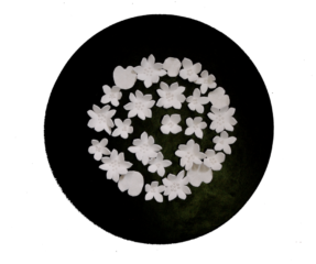 White clay dimensional lotus flower sculptures on black wood panel creating Chanel style decorative artwork for interior design project.