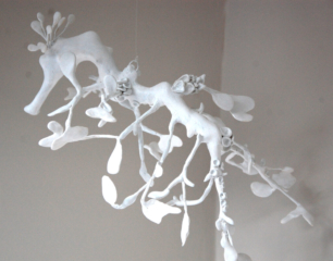 beautifully detailed seadragon mobile hanging sculpture in white finish, lots of paddles, little barnacles and other sea textures on his body and limbs