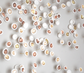 clay installation art that resembles lichen growing, some elements sit on pins coming out of the wall creating various depths. Some elements have been painted with gold, bronze and pearl metallic paints. Colors can be chosen by the customer, ideal for interior design projects.