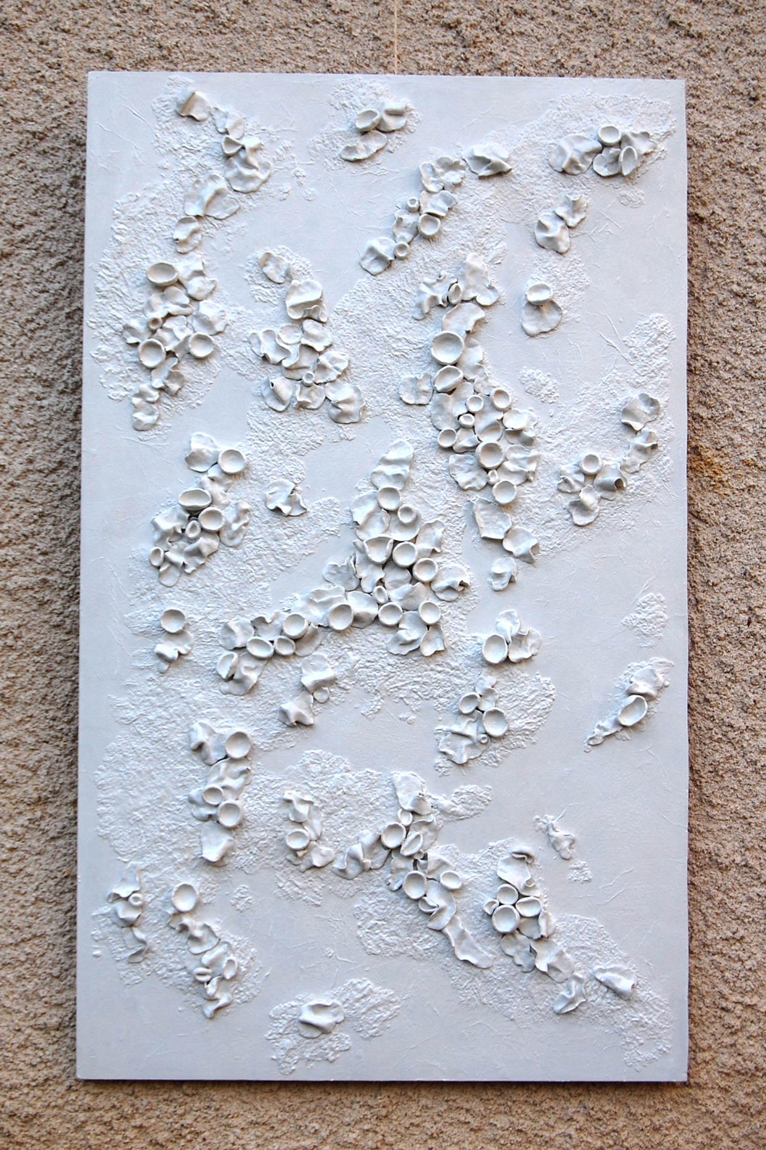 Lichen Dimensional Wall Art White on White - Image 4