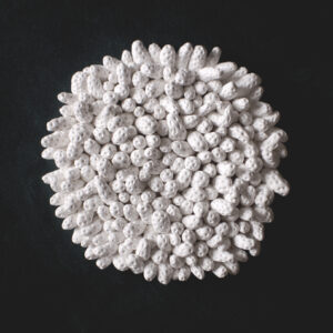 Sea Textures Clay Wall Sculpture in White