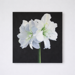 Amaryllis Painting Large Floral Wall Art Realistic Botanical Art Elegant Home Decor