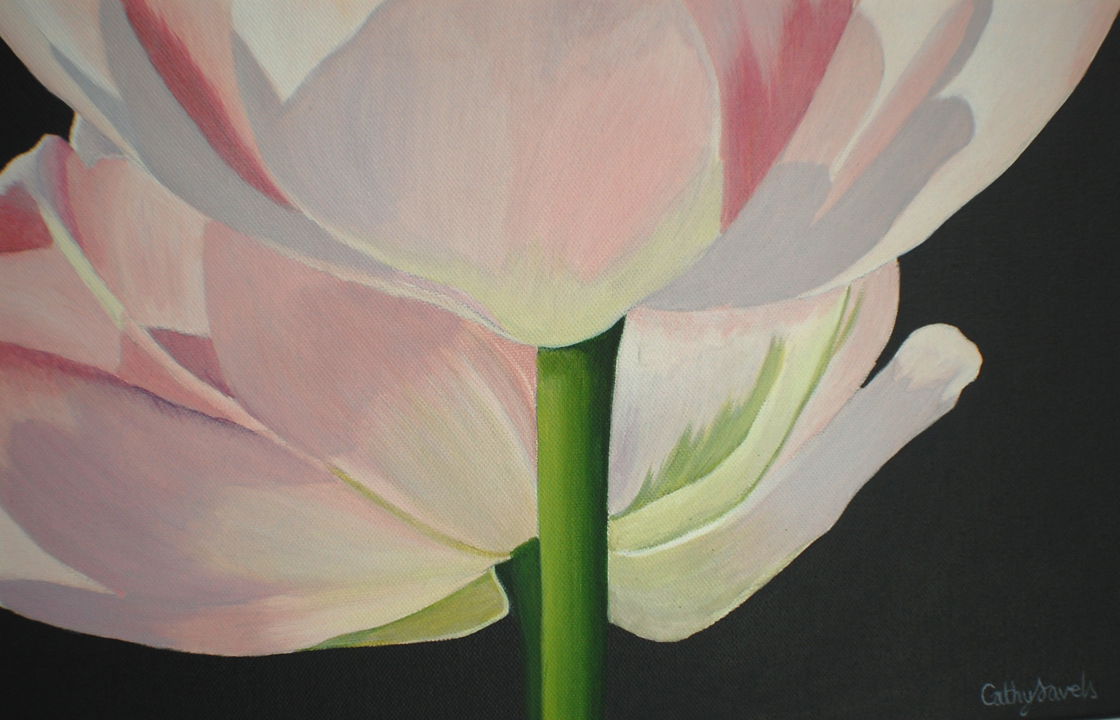 Original Pink Double Tulip Painting
