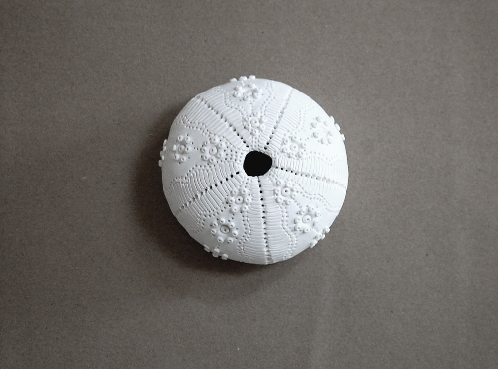 A white, spherical sea urchin shell with intricate raised bumps, delicate patterns, and a central opening at the top.