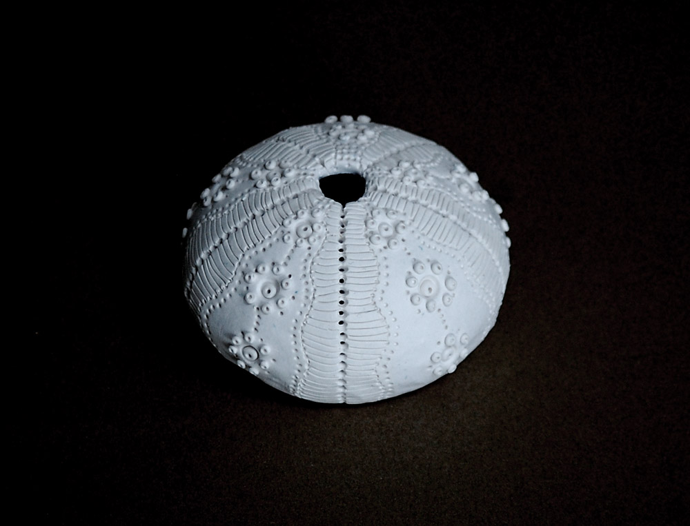 A white, spherical sea urchin shell with intricate raised bumps, delicate patterns, and a central opening at the top.