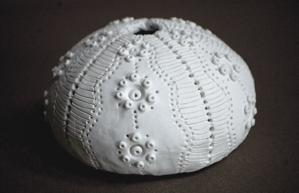A white, spherical sea urchin shell with intricate raised bumps, delicate patterns, and a central opening at the top.