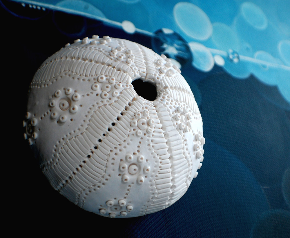 A white, spherical sea urchin shell with intricate raised bumps, delicate patterns, and a central opening at the top.