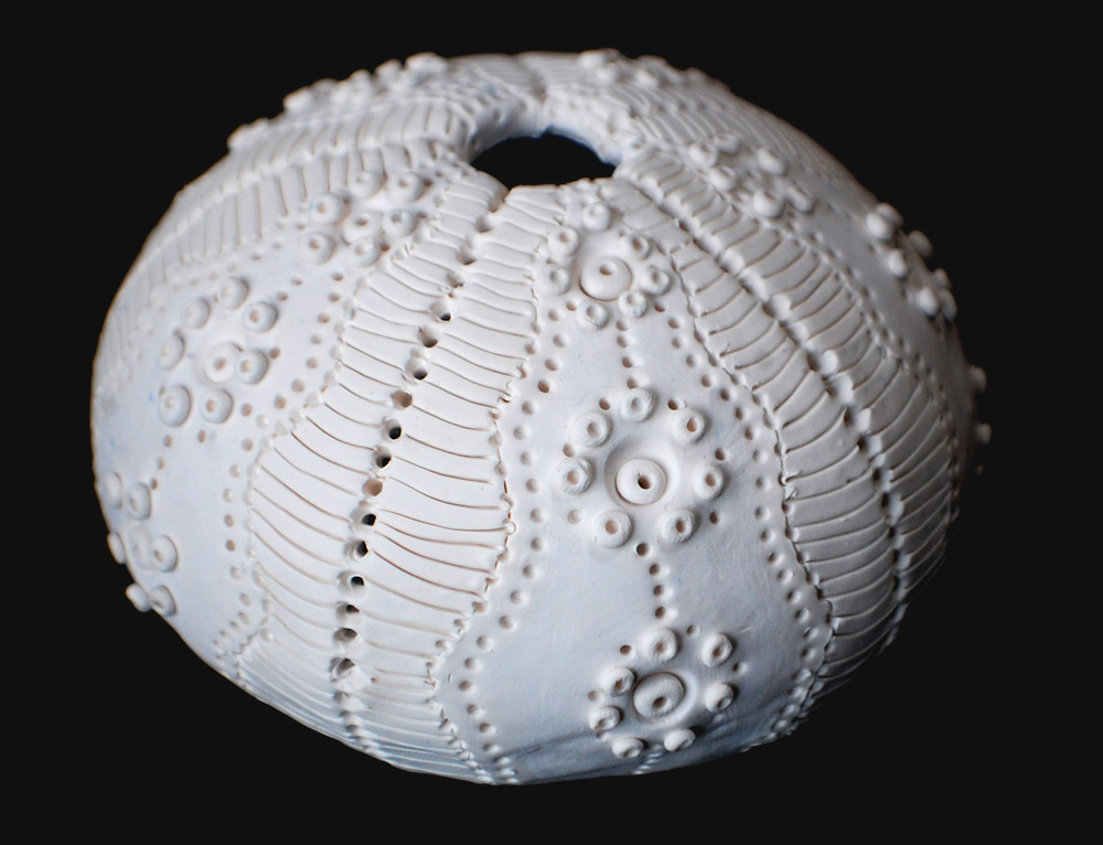 A white, spherical sea urchin shell with intricate raised bumps, delicate patterns, and a central opening at the top.