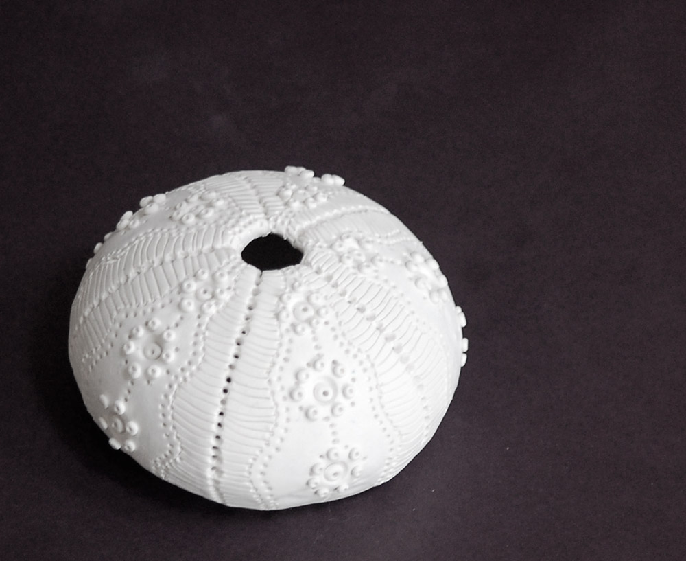 A white, spherical sea urchin shell with intricate raised bumps, delicate patterns, and a central opening at the top.