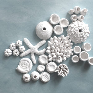 Clay Coral Wall Decor | Build Your 3D Reef Installation | Customizable Wall Art Set, 30pc