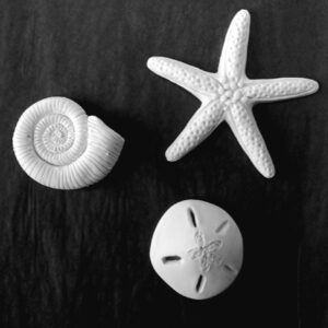 set of 3 clay ocean inspired white sculptures, a starfish, nautilus style shell and sand dollar that can be placed on a shelf or hang on the wall