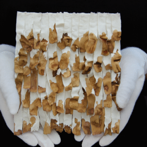 Hand-Sculpted Textured Organic Modern Decor: Neutral Wabi Sabi Clay Art, Minimalist Earthy Home Decor