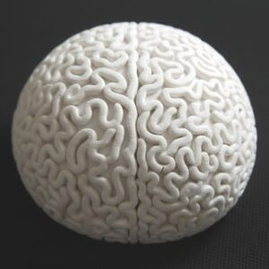 Clay Wall Sculpture:  Brain Coral Biophilic Design, Collectible Art, Limited Edition