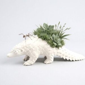 The Ant Farmer – an original pangolin sculpture featuring a miniature succulent garden and ant motif, exploring themes of ecology, wildlife, and cultivated landscapes.