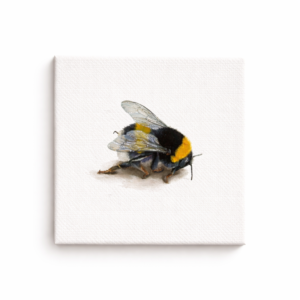 small detailed bumblebee oil painting botanical study collectors piece in photorealistic style.