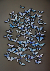 Butterflies Installation Art created in paper and painted in oil paint, each butterfly is unique and different, various sizes and can be attached to a wall to create a stunning display.