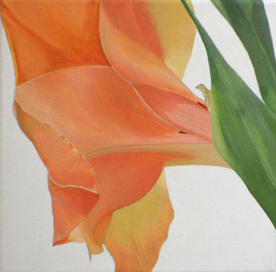 Gladioli