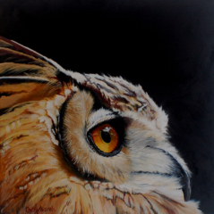 Eagle Owl Original Oil Painting closeup of bird head in photo realistic style.